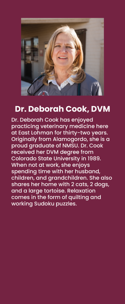 East Lohman Staff Member, Dr. Cook